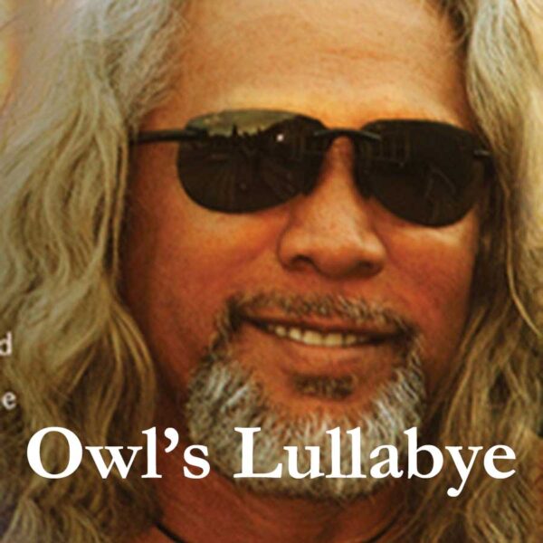 Owls Lullabye Lono Music
